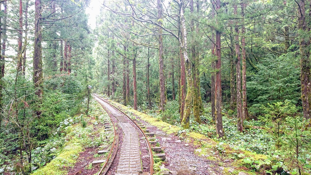 屋久島